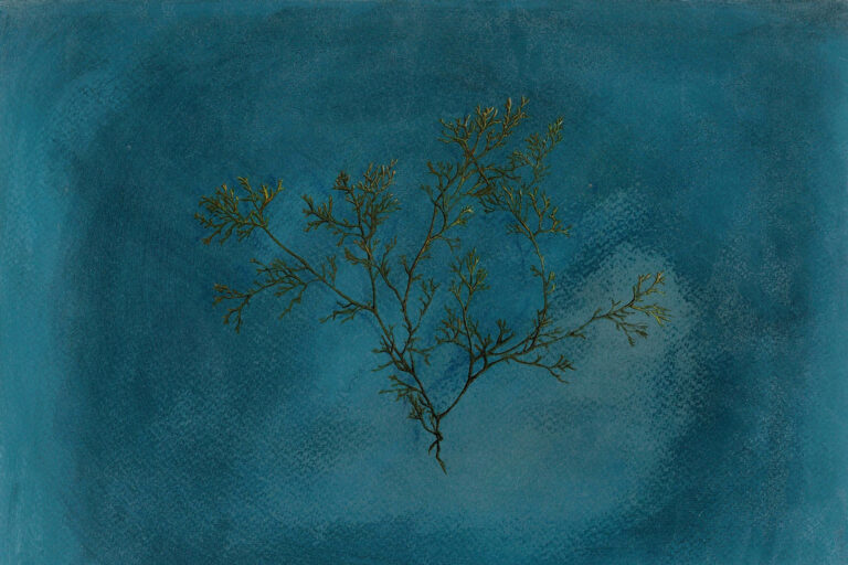 A piece of artwork features a plant painted over a rich blue background.